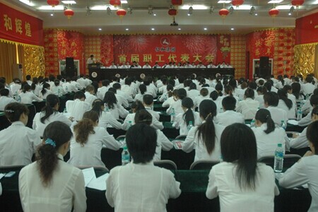 仁和集團(tuán)召開首屆職工代表大會