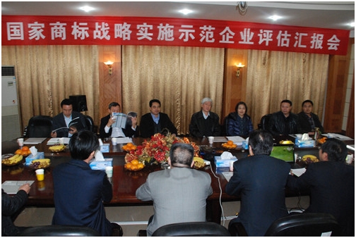 國(guó)家商標(biāo)戰(zhàn)略實(shí)施示范工作督導(dǎo)組到仁和集團(tuán)檢查指導(dǎo)工作