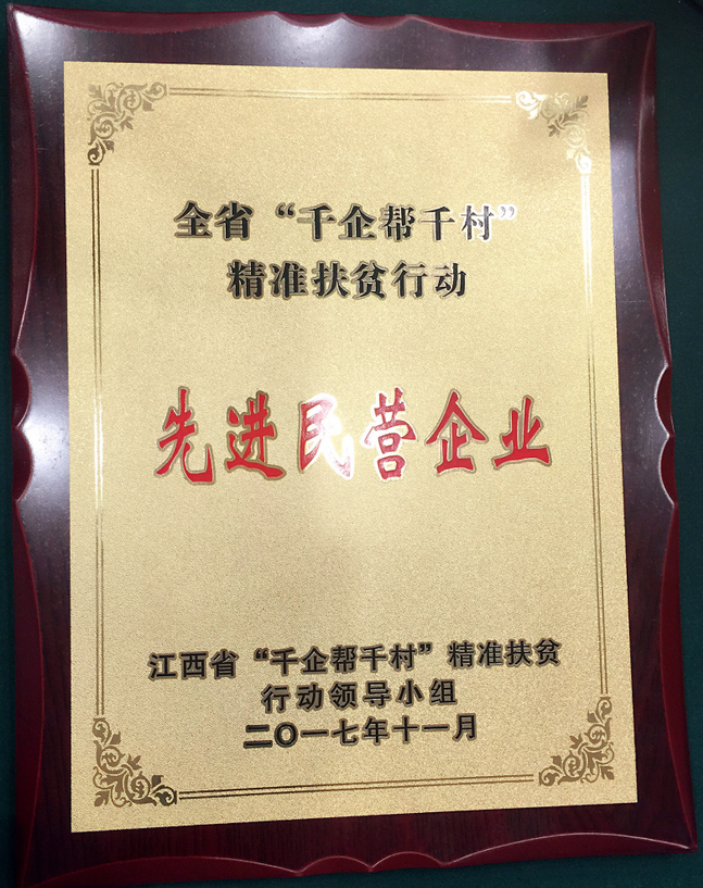 仁和集團(tuán)喜獲江西省“千企幫千村”先進(jìn)民營企業(yè)
