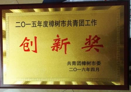 集團(tuán)團(tuán)委獲2015年度樟樹(shù)市共青團(tuán)工作創(chuàng)新獎(jiǎng).jpg